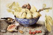 Giovanna Garzoni Chinese Cup with Figs,Cherries and Goldfinch china oil painting artist